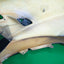 Pro Composite Front Bumper Toyota 86 (ZN6)