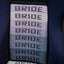 Bride Brix & Ergo Seat Pair