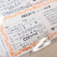 Recaro Ideal Seat TS Seat Pair