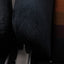Recaro SR3 Classic 360 Seat Pair
