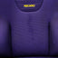 Recaro SP-JJ Flanker Seat Pair